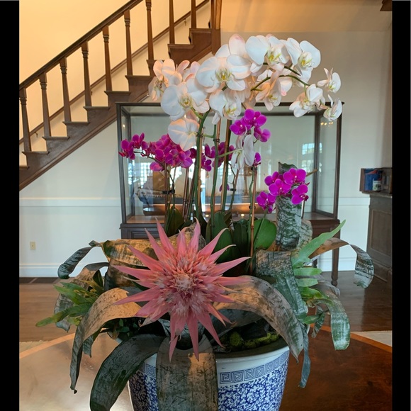 Meet your 💕POSH AMBASSADOR 💕 - Picture 9 of 9